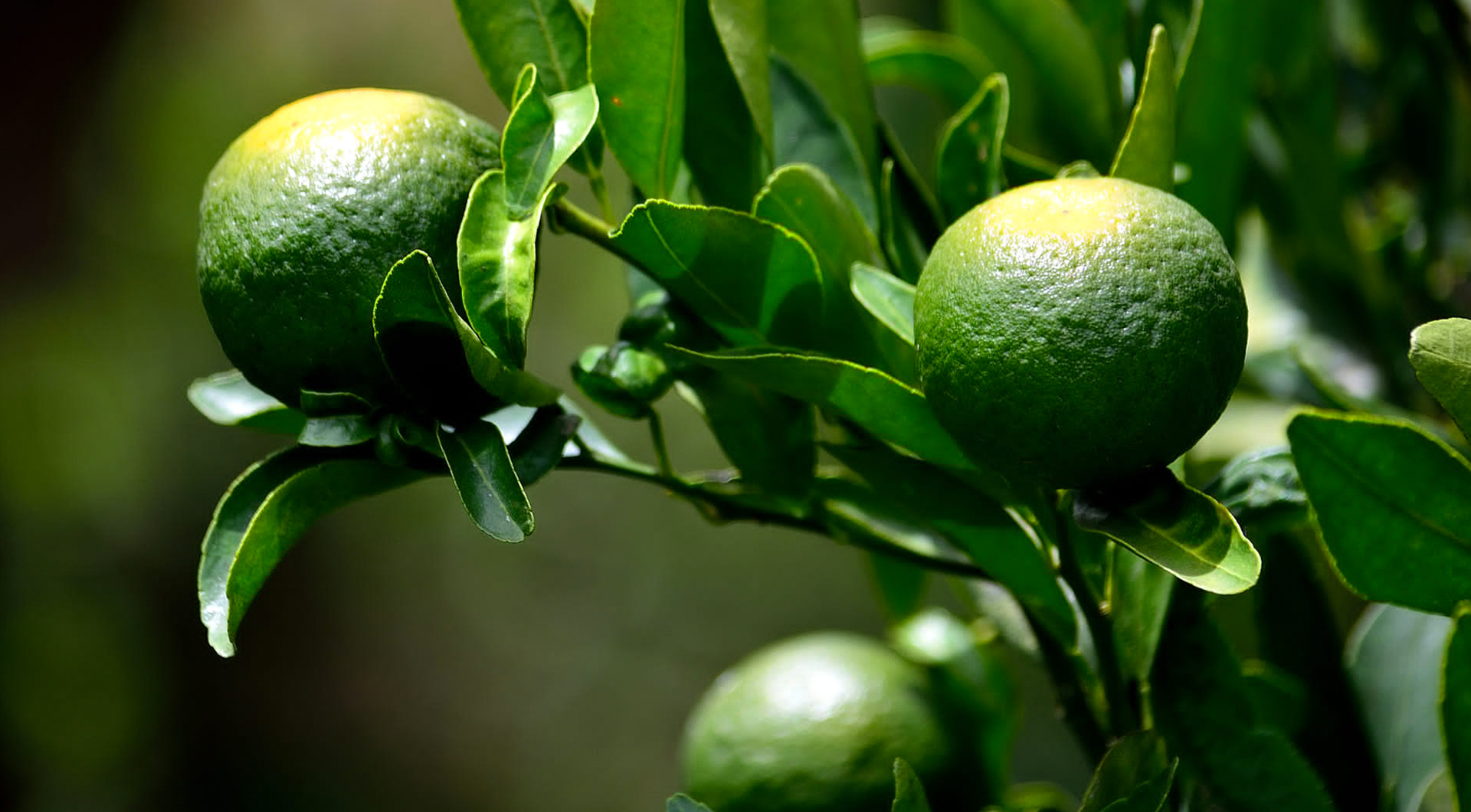 西湖国际·(中国区)网站入口