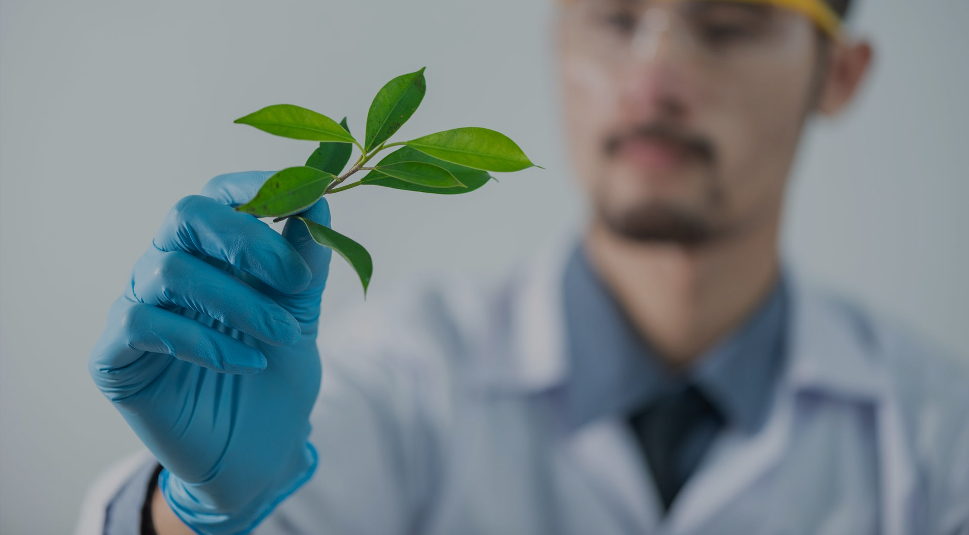 西湖国际·(中国区)网站入口