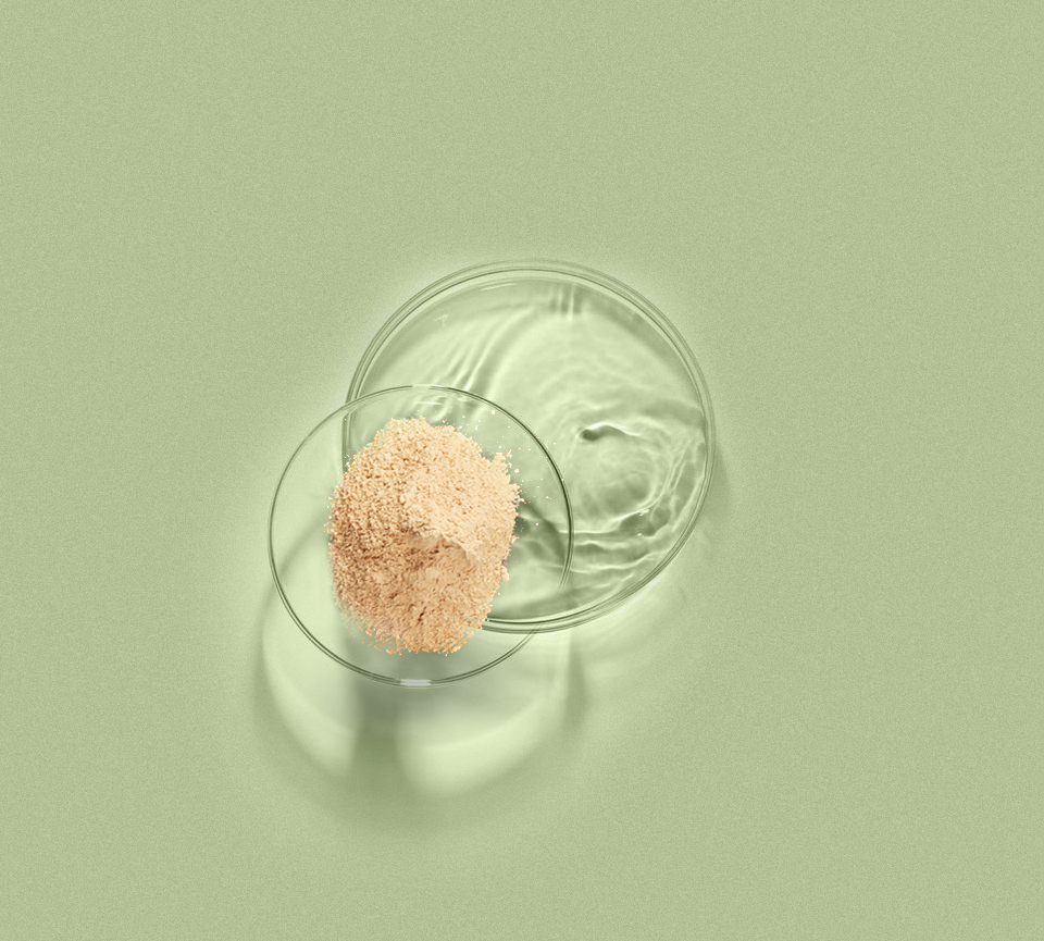 西湖国际·(中国区)网站入口