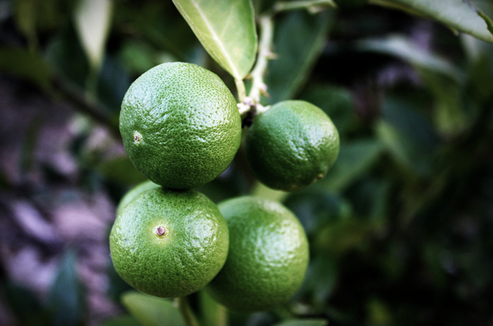 西湖国际·(中国区)网站入口