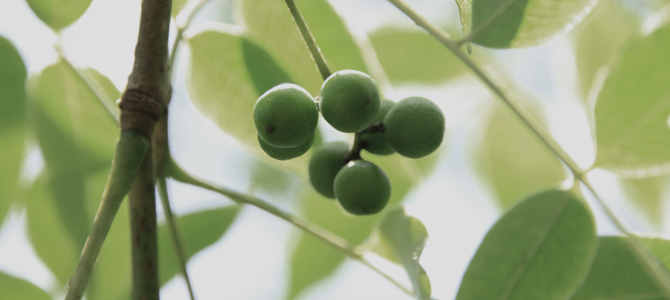 西湖国际·(中国区)网站入口